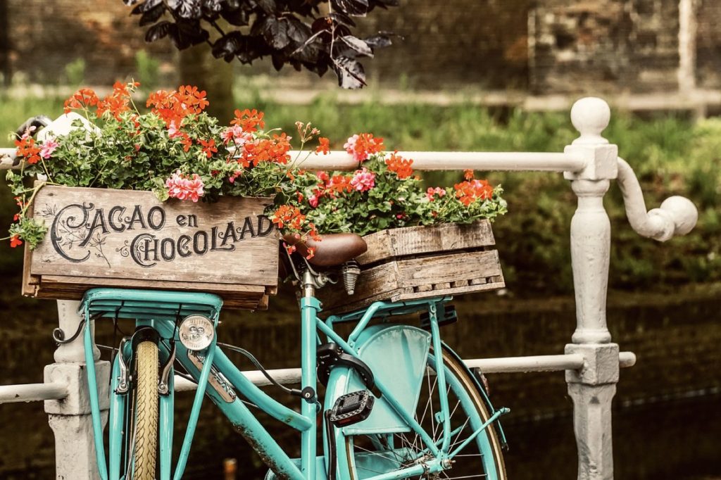 VTC ou vélo de ville : choisir pour trajets quotidiens