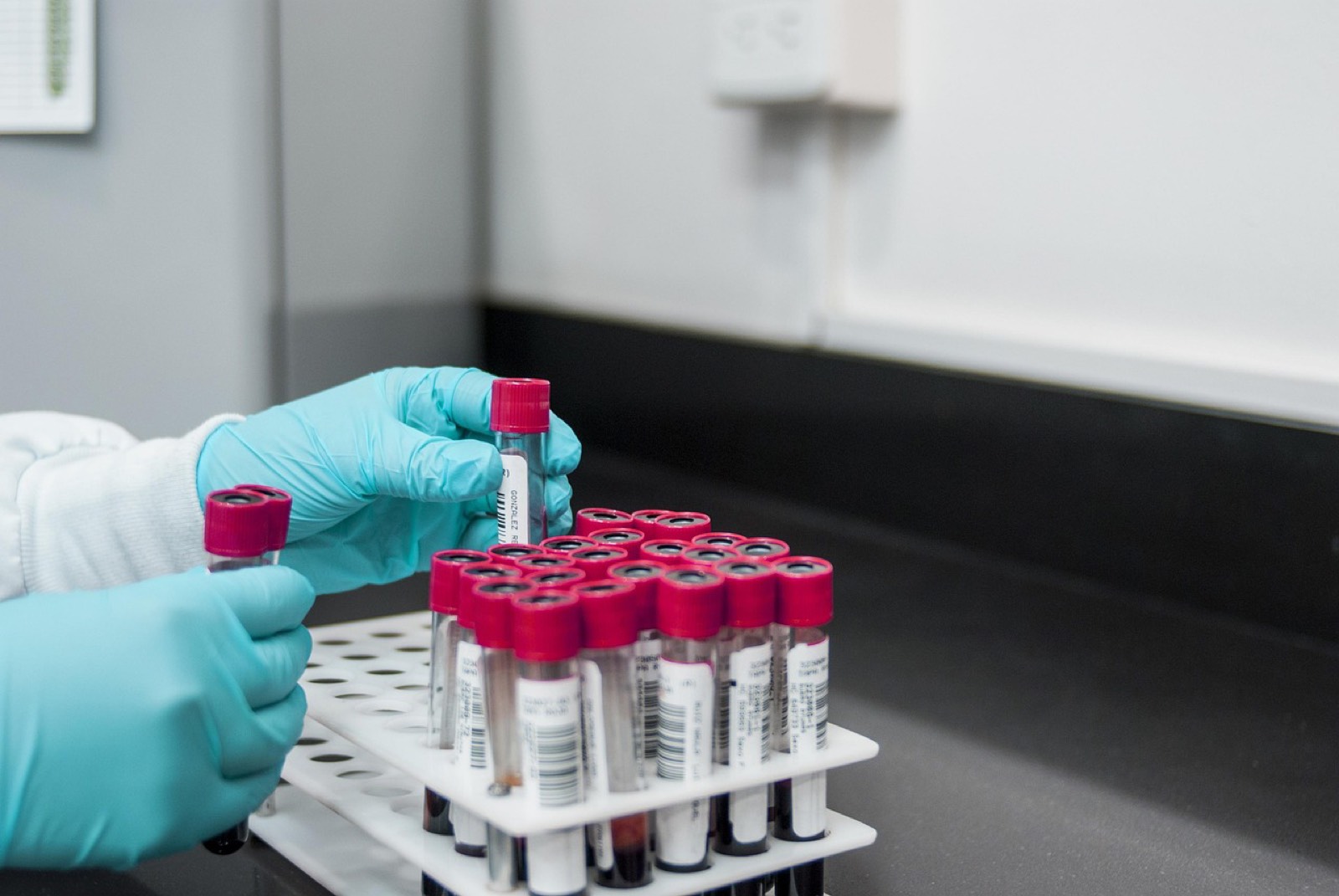 Tubes à essai et échantillons rangés sur un plan de travail de laboratoire